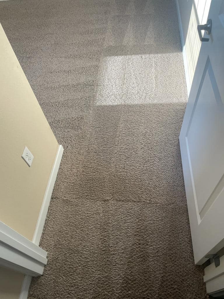 Brown carpet in a hallway with a door and a wall with an electrical outlet. Sunlight is visible.