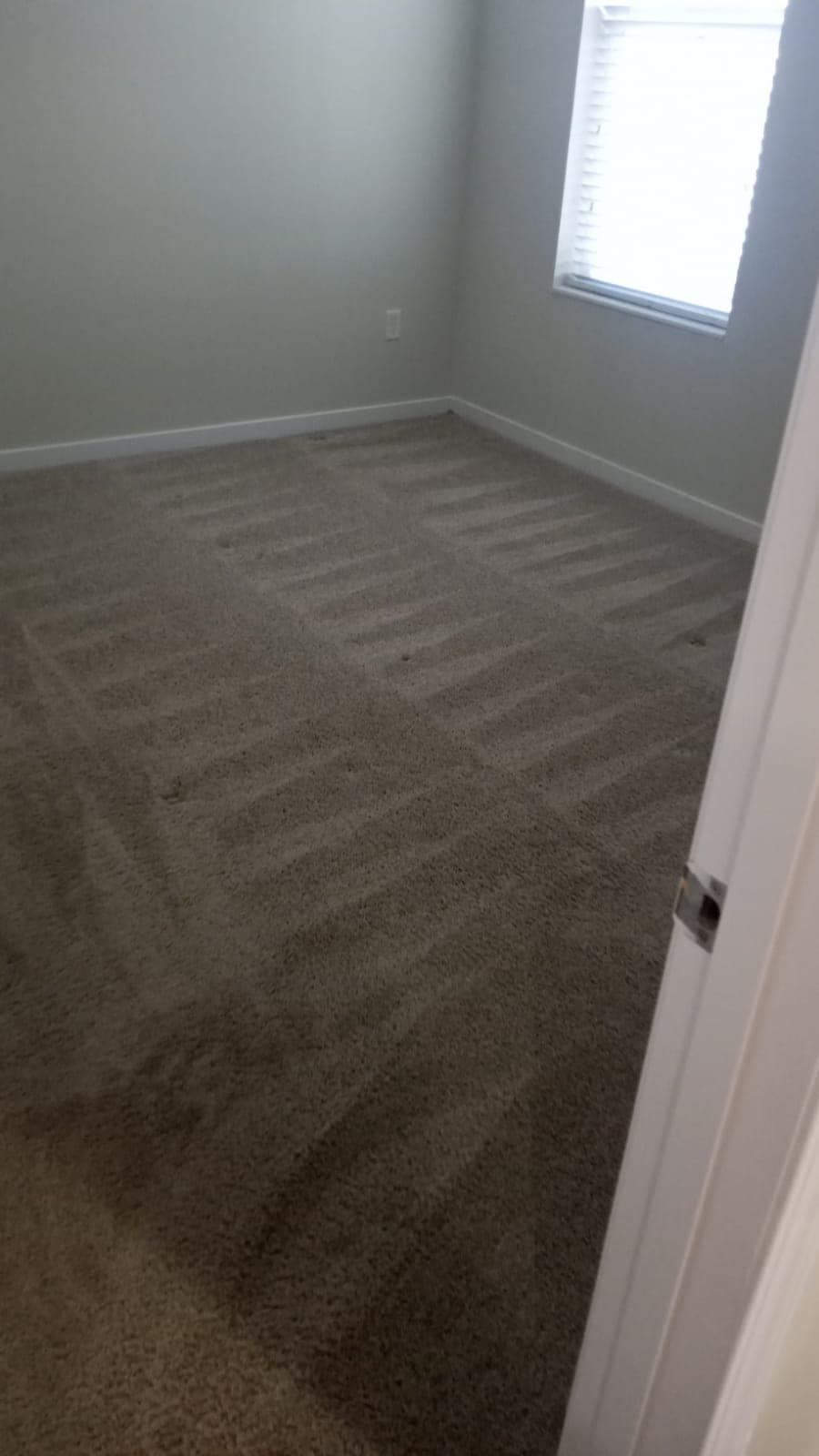 Empty room with tan carpet, a window, and a white door. The walls are light grey.