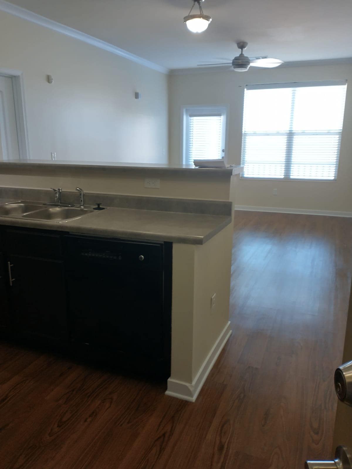 Kitchen with dark cabinets, countertop, and sink, overlooking a living room with a window and hardwood floor.