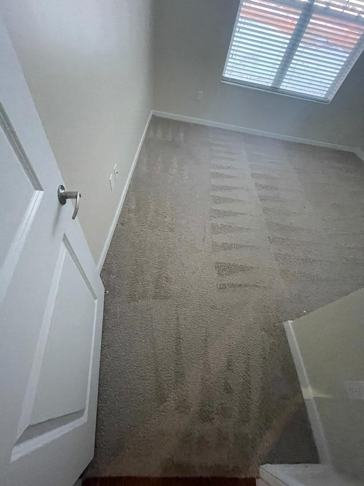 A room with beige carpet, a white door, and a window with blinds.