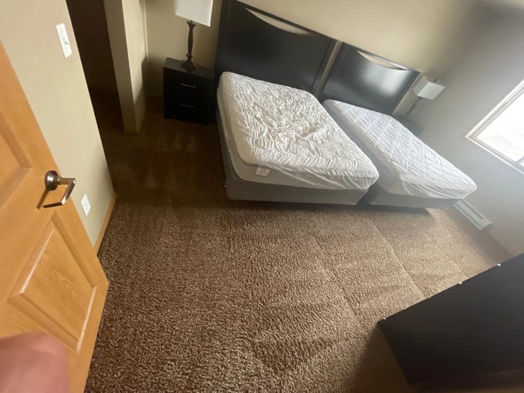 Bedroom with two twin beds, dark headboard, nightstand, and brown carpet.