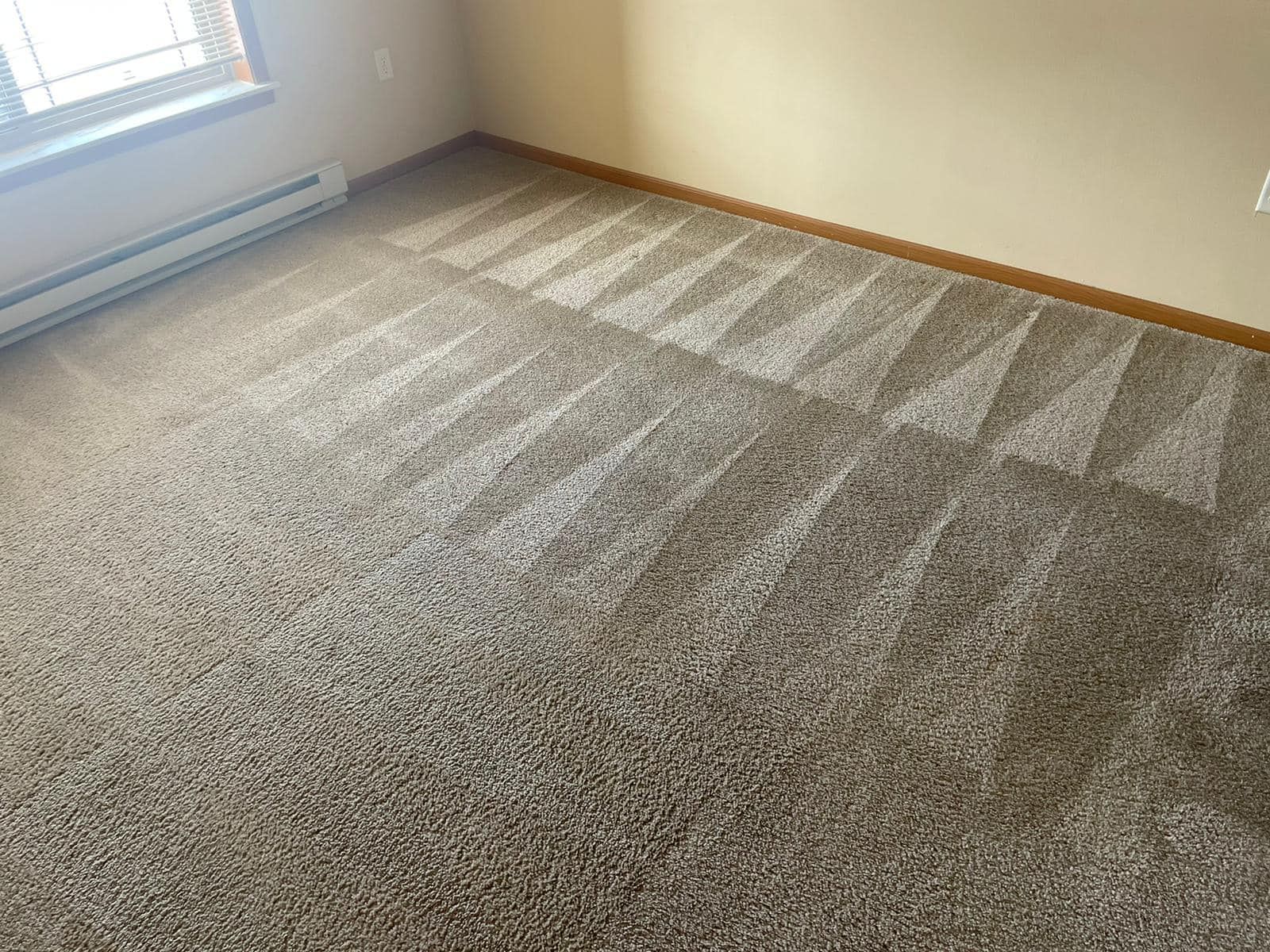 Brown carpet with triangular vacuum patterns in a room with a window and beige walls.