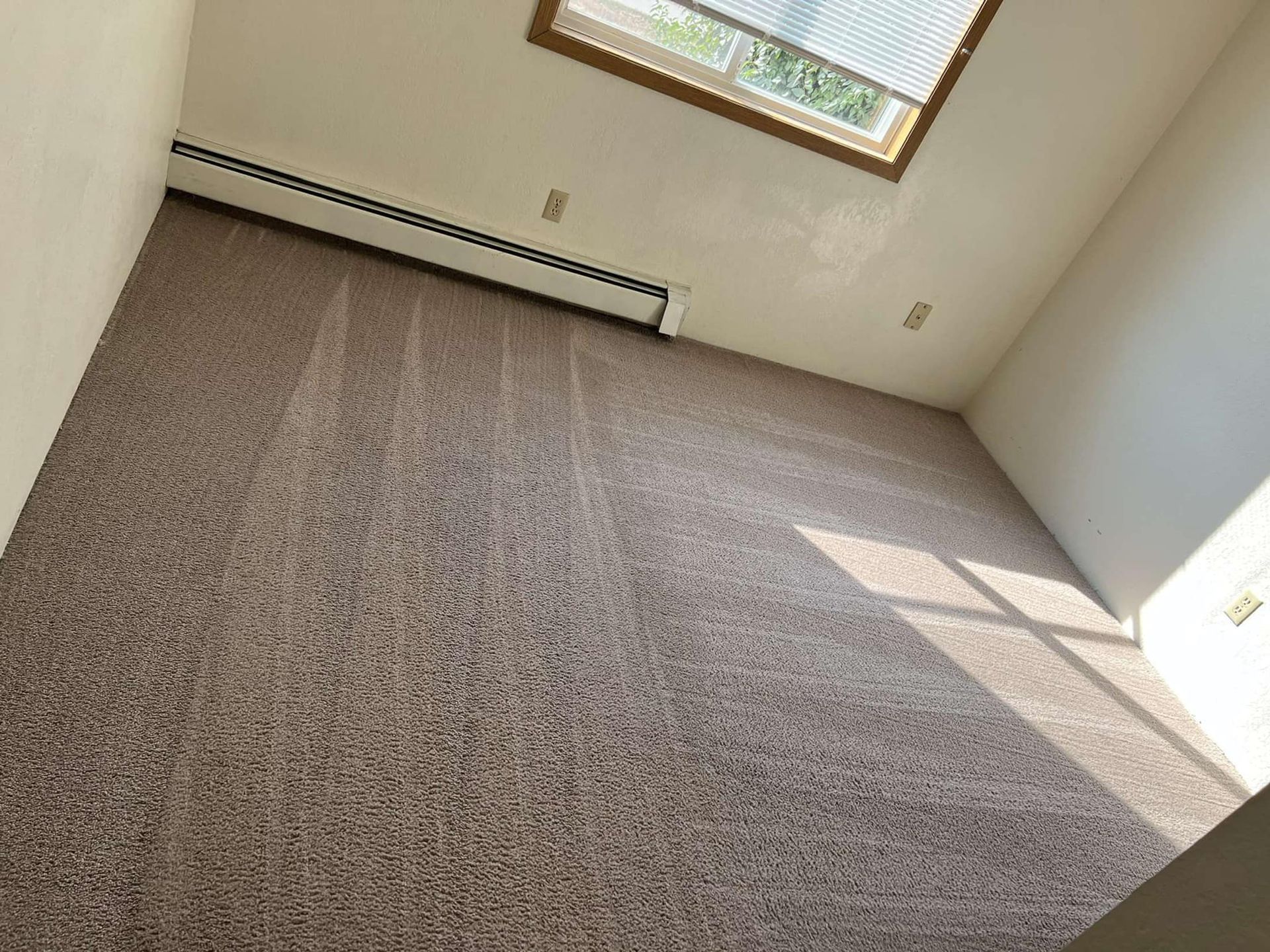 Room with light-colored carpet, a window, and a heating unit along the wall. Sunlight streams across the carpet.
