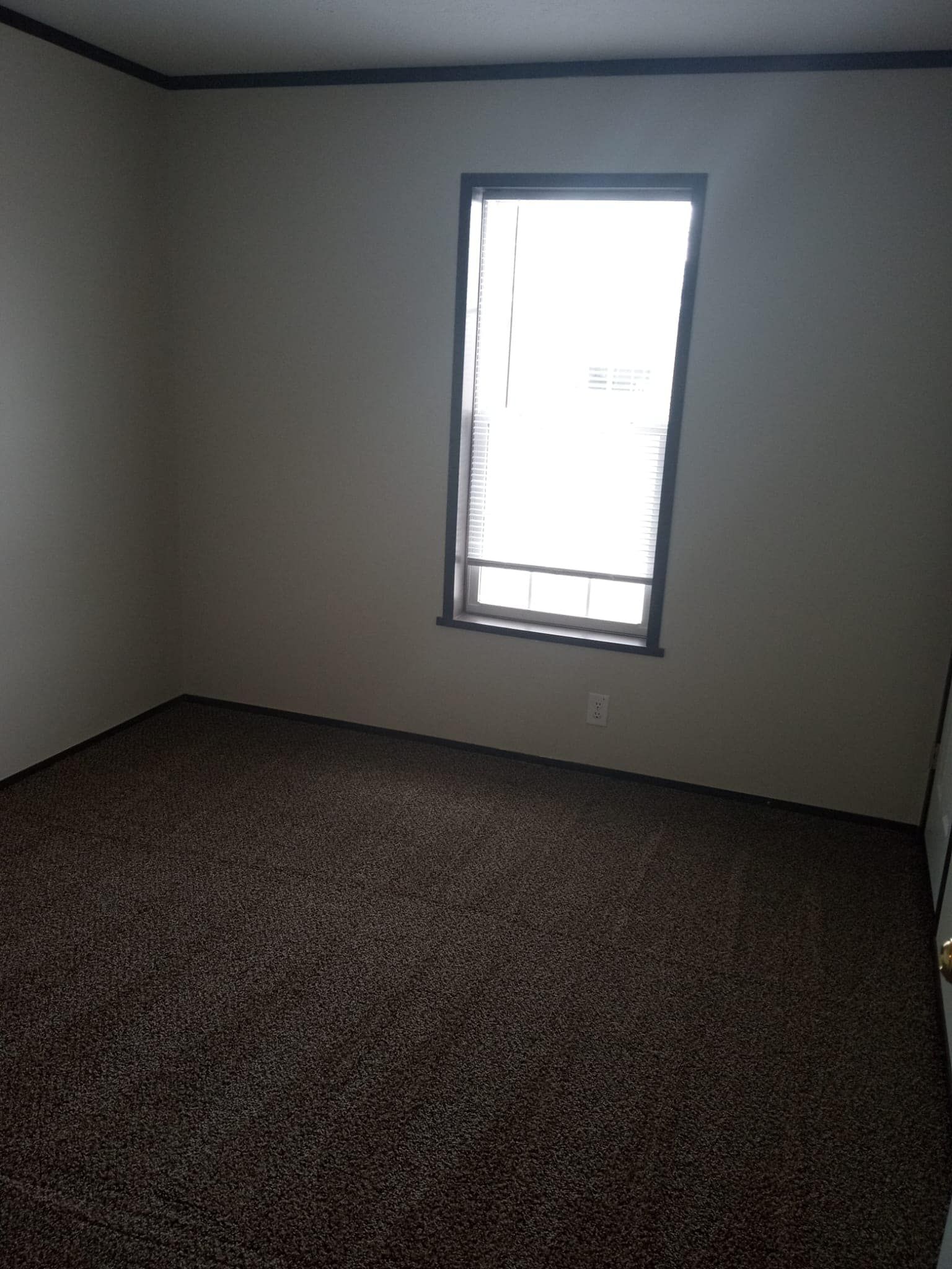 Empty room with brown carpet, window, and off-white walls.