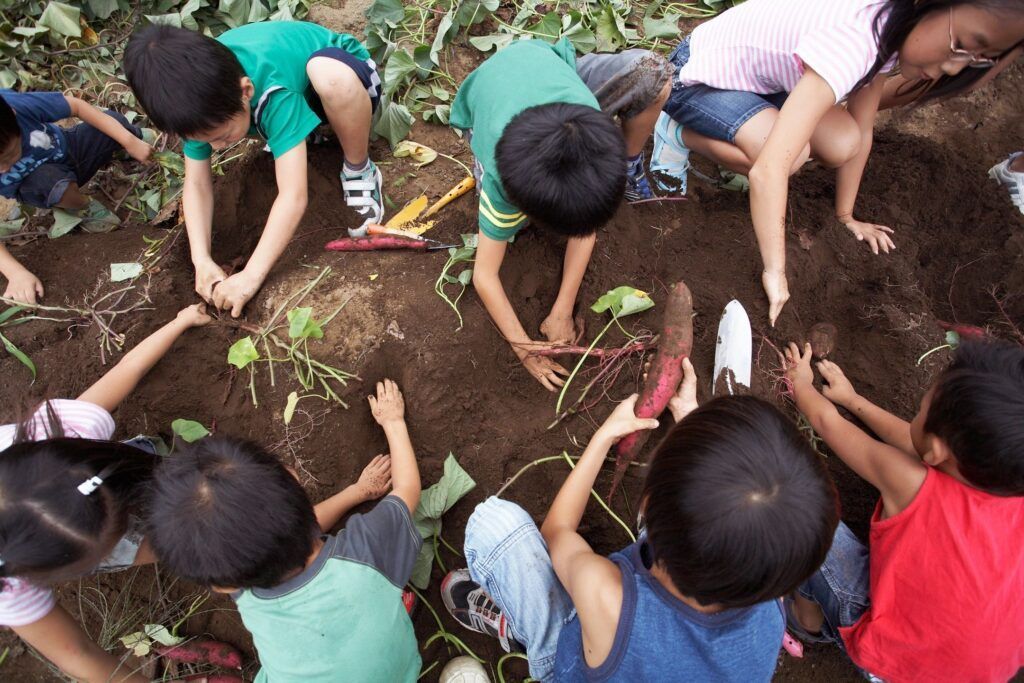 A group of children are digging in the dirt.