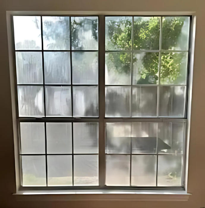 A window with a grid of squares and a tree in the background.