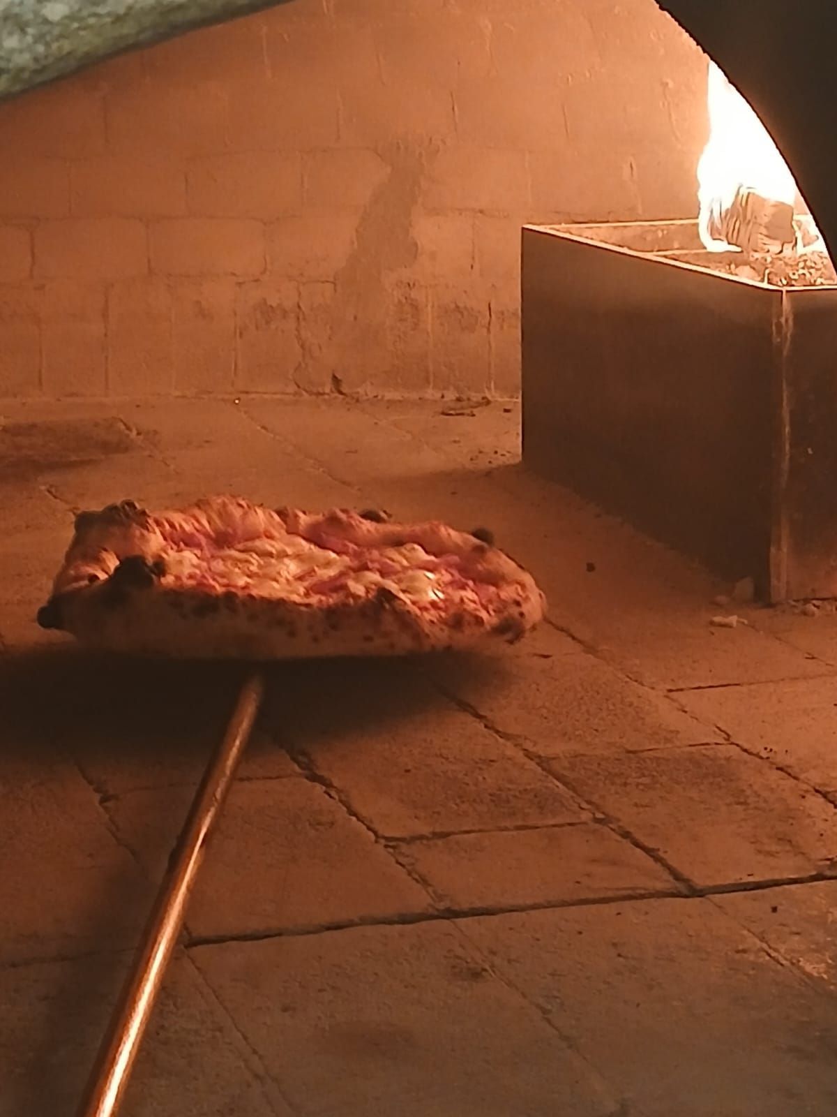 Pasta con besciamella ed erbe aromatiche su un piatto ovale blu, servita su un tavolo rustico di legno.