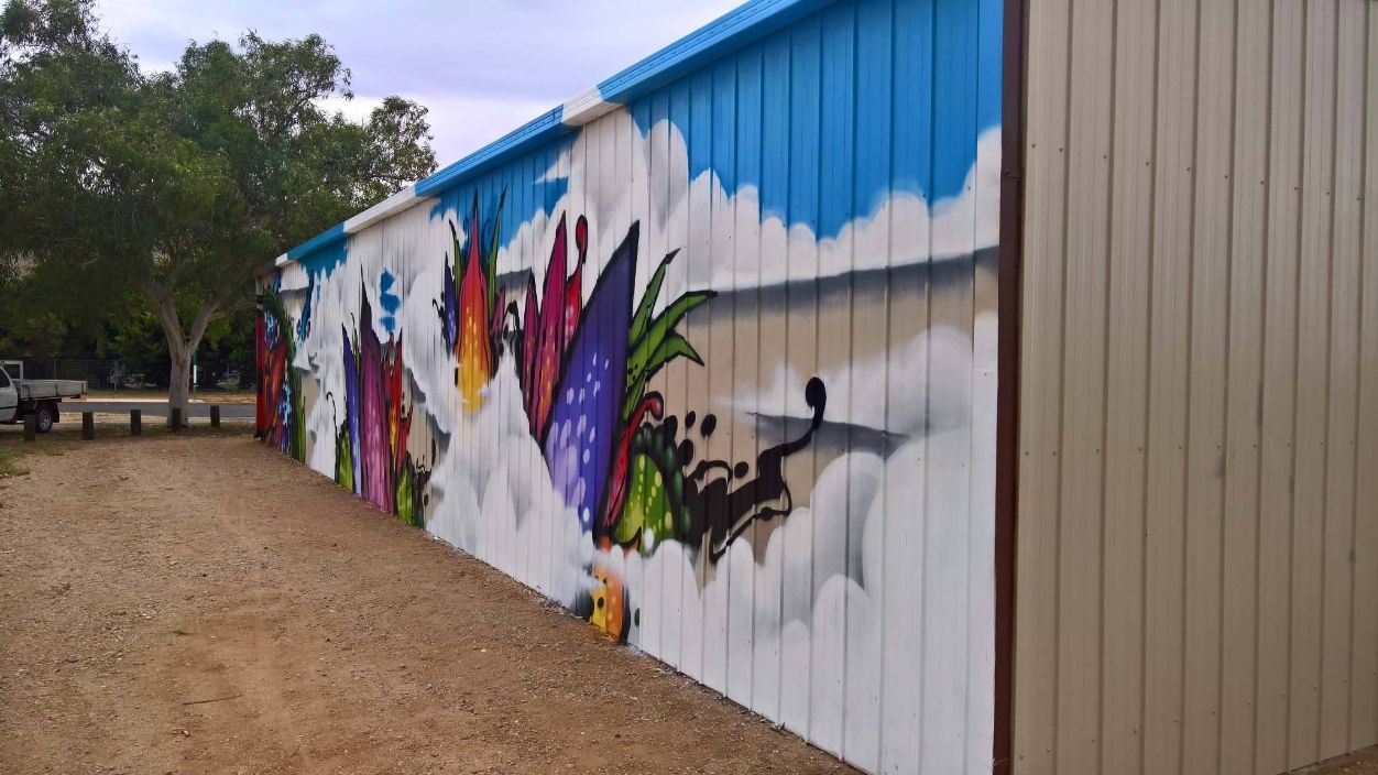 A Large Mural Is Painted On The Side Of A Building — Alice Sheds & Structures In Ciccone, NT