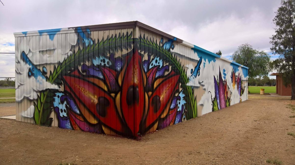 A Large Mural On The Side Of A Building — Alice Sheds & Structures In Ciccone, NT