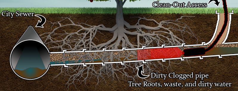 A diagram of a dirty clogged pipe with tree roots waste and dirty water