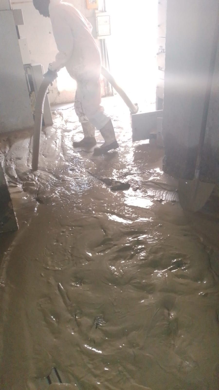 EMERGENZE AMBIENTALI