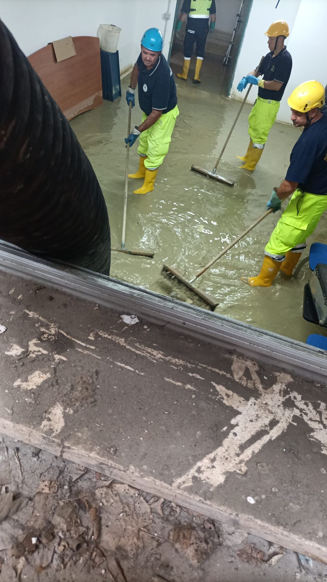 EMERGENZE AMBIENTALI