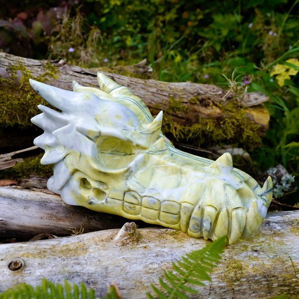 Lo La Sa Dragon Skull with Alphedia Lo La Sa Dragon Skull with Alphedia