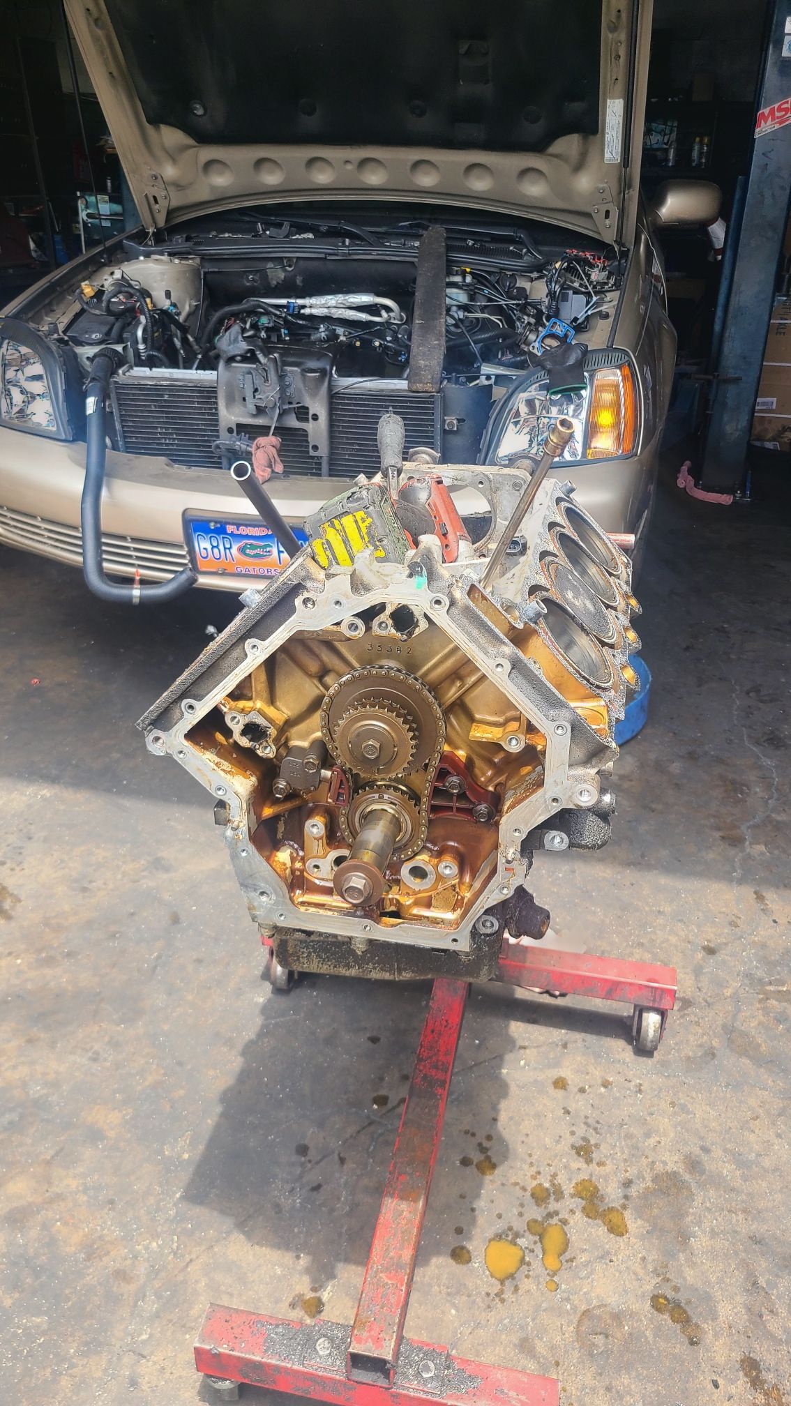 A car engine is sitting on a stand in front of a car with the hood up.