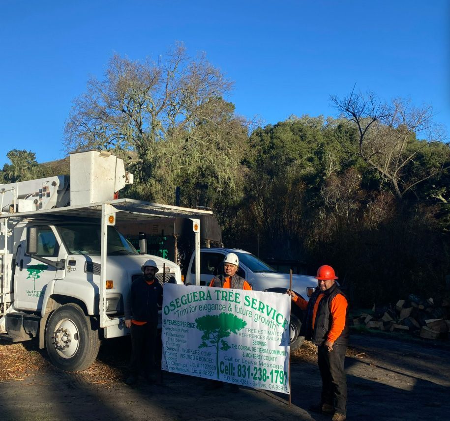 Three tree service workers pose with a banner next to their truck, trees in the background, blue sky.