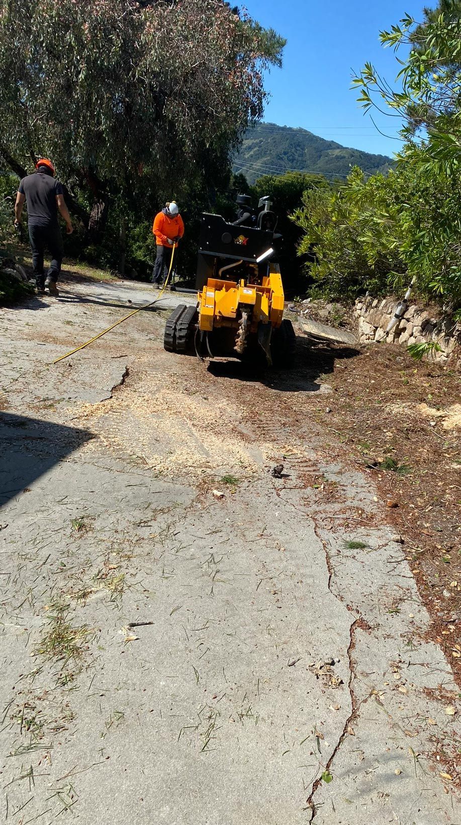 Workers chip tree branches with a machine on a paved path; one carries a branch, the other operates the chipper.