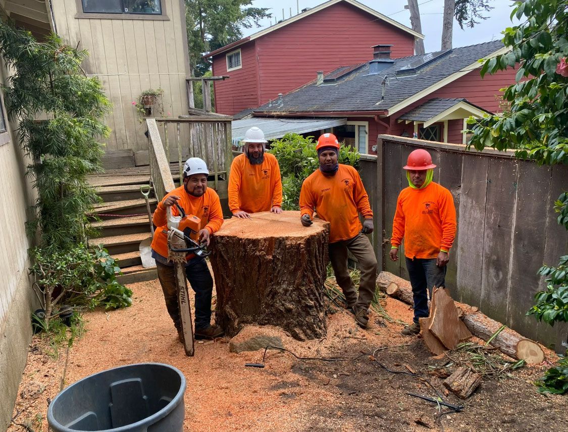 Four tree service workers stand near a large tree stump. They wear orange shirts and hard hats. Backyard setting.