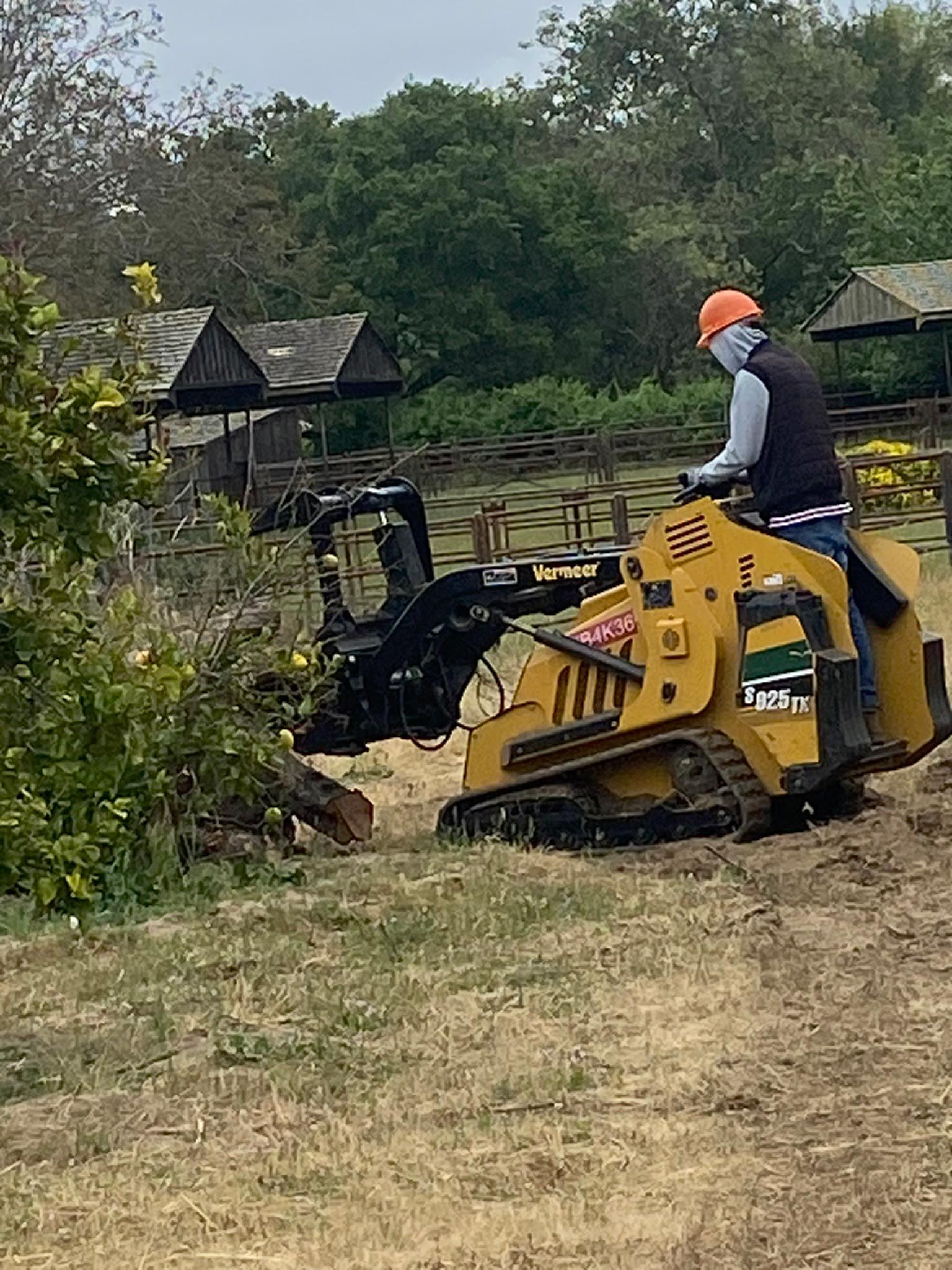 Man operating a yellow skid steer to clear brush outdoors, wearing a helmet.
