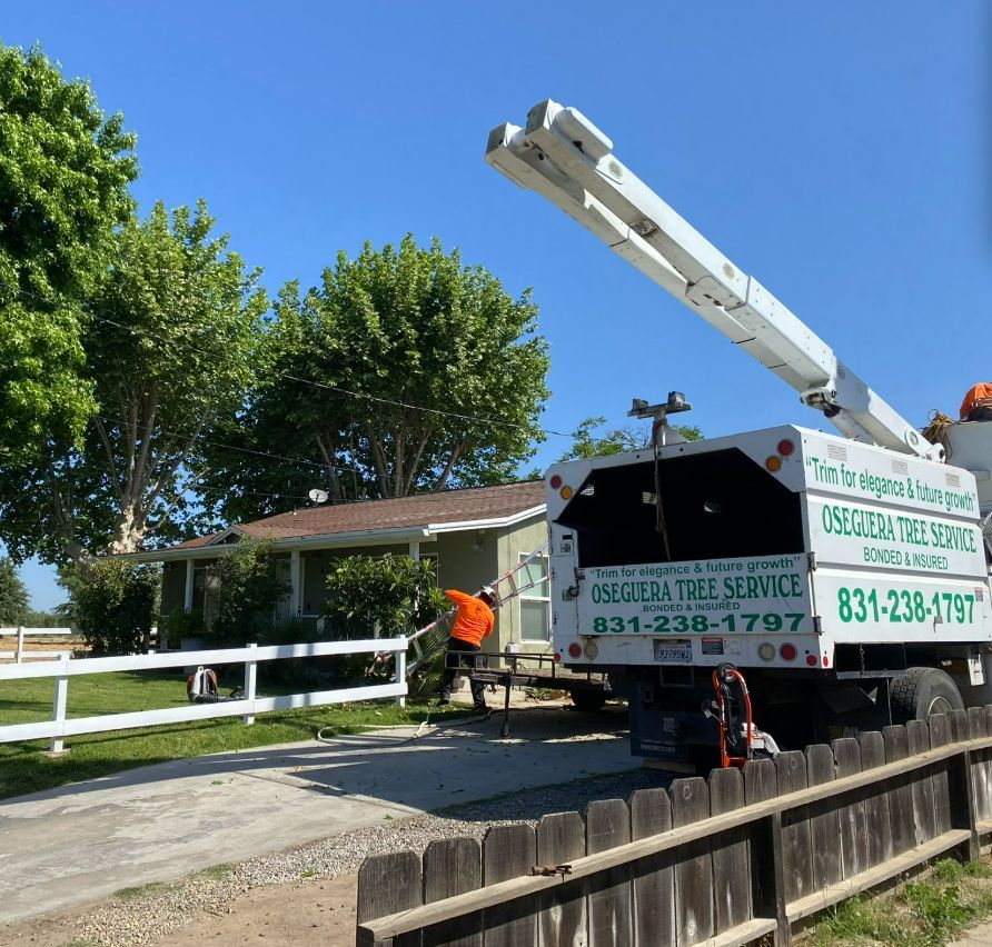 Tree service truck parked in front of a house. A worker in orange vest is next to the truck.