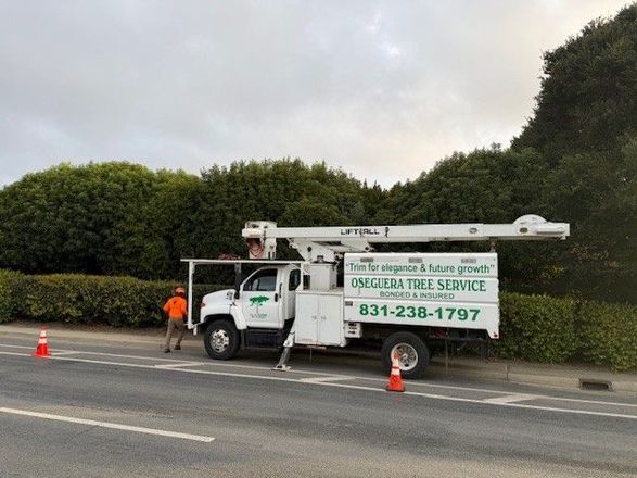 Tree service truck with raised lift arm, workers by a road, bushes in background.