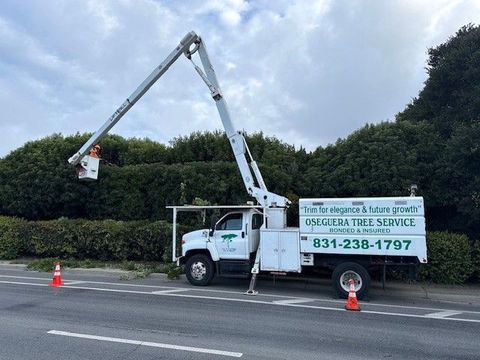 Tree service truck trimming a hedge next to a road, under a cloudy sky.