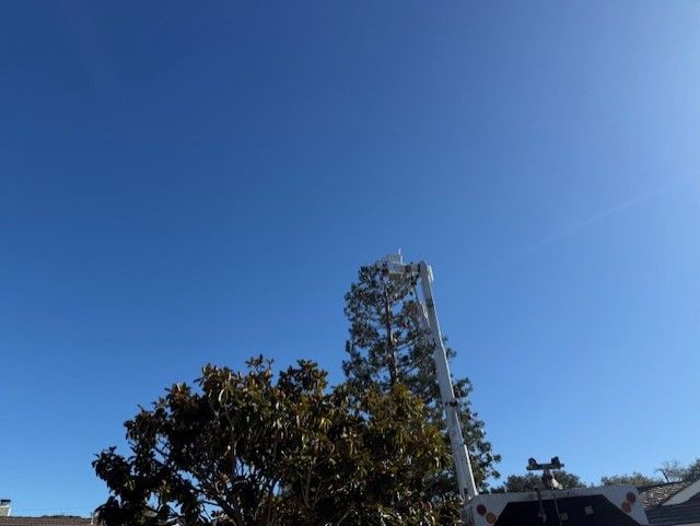 A cell tower and tree against a bright blue sky.