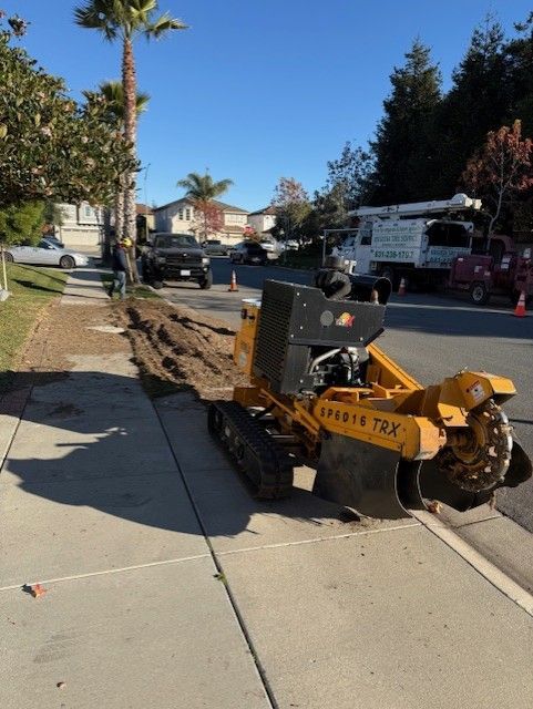 Yellow stump grinder on sidewalk grinding a tree stump, sunny day.