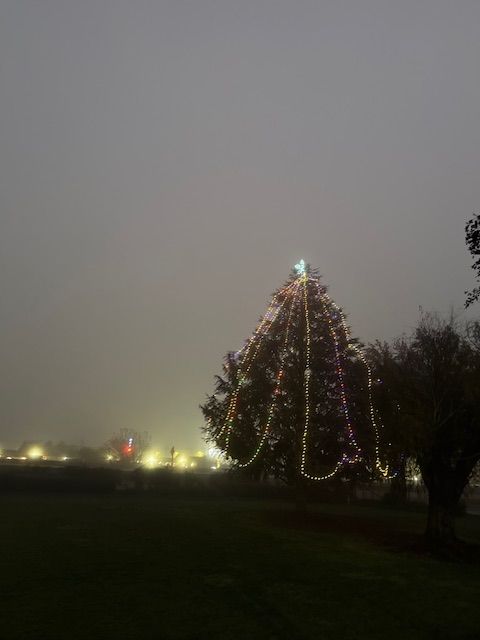 A tall tree decorated with lights on a foggy night. Distant lights are in the background.