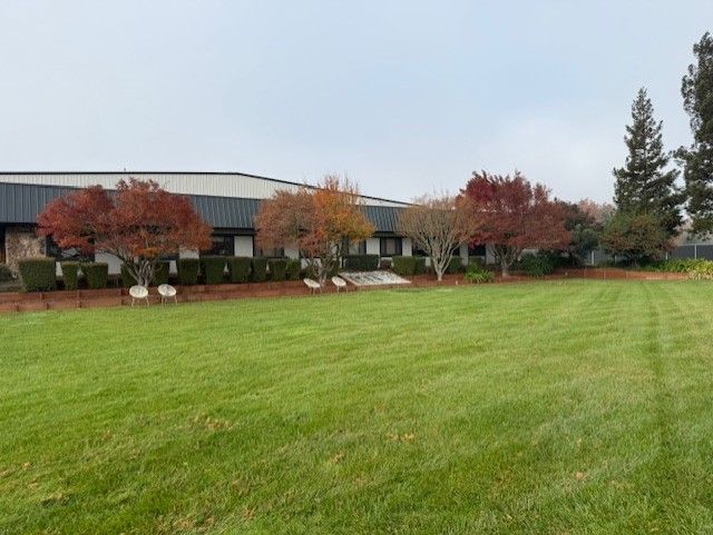 Building with lawn and fall trees; green grass, red and orange leaves. Overcast day.