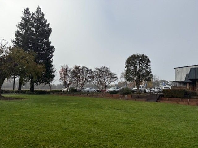 Green lawn with trees and building under a cloudy sky. Cars parked near a brick wall.