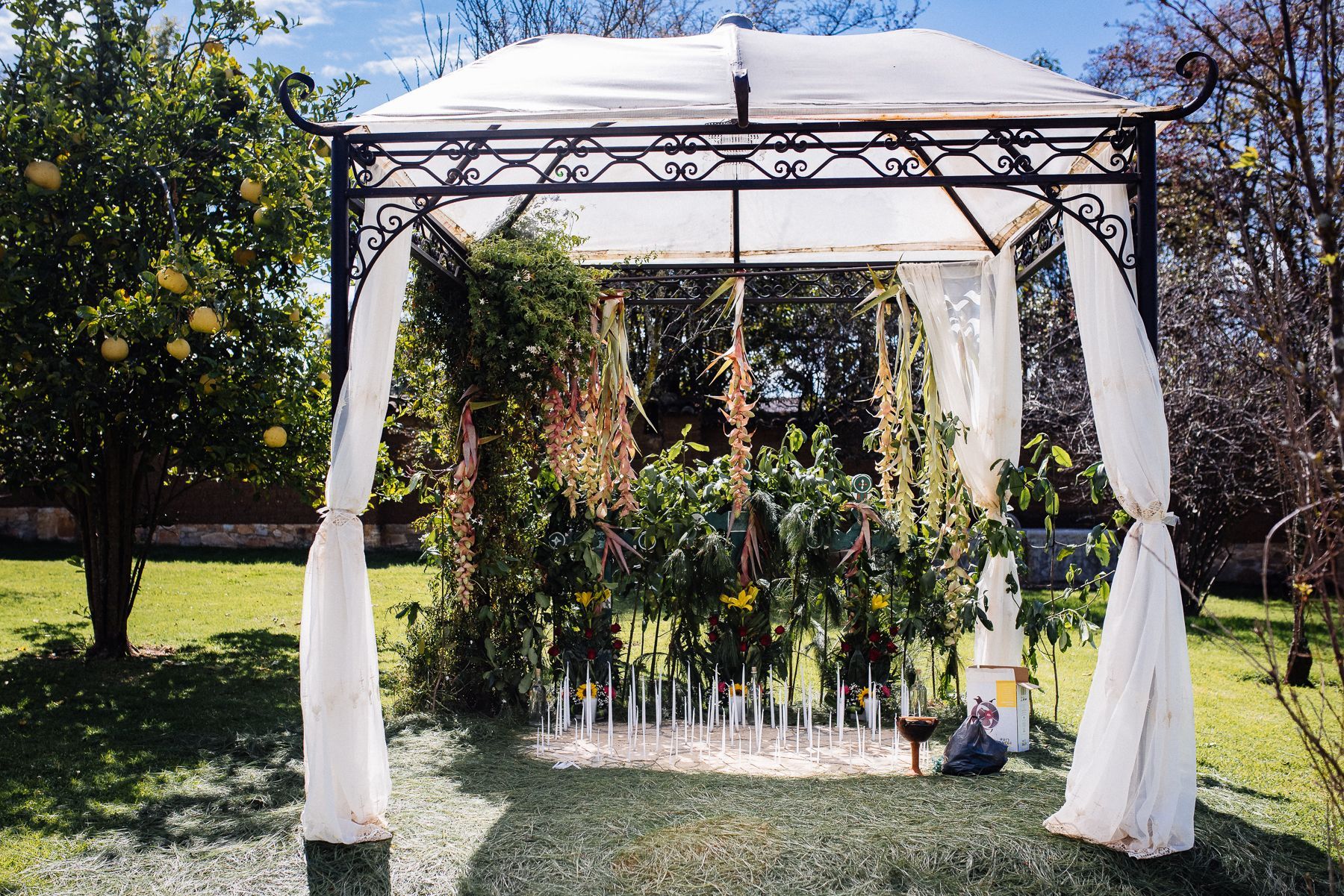 A gazebo with white curtains is in the middle of a lush green field.