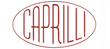 ICONA LOGO