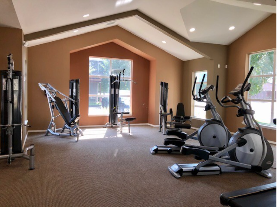 Gym interior with exercise machines on a brown carpet. Large windows and brown walls.