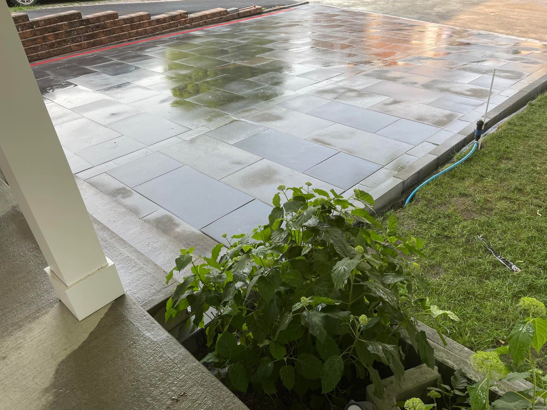 Un patio avec un tuyau qui y est attaché et une plante au premier plan.