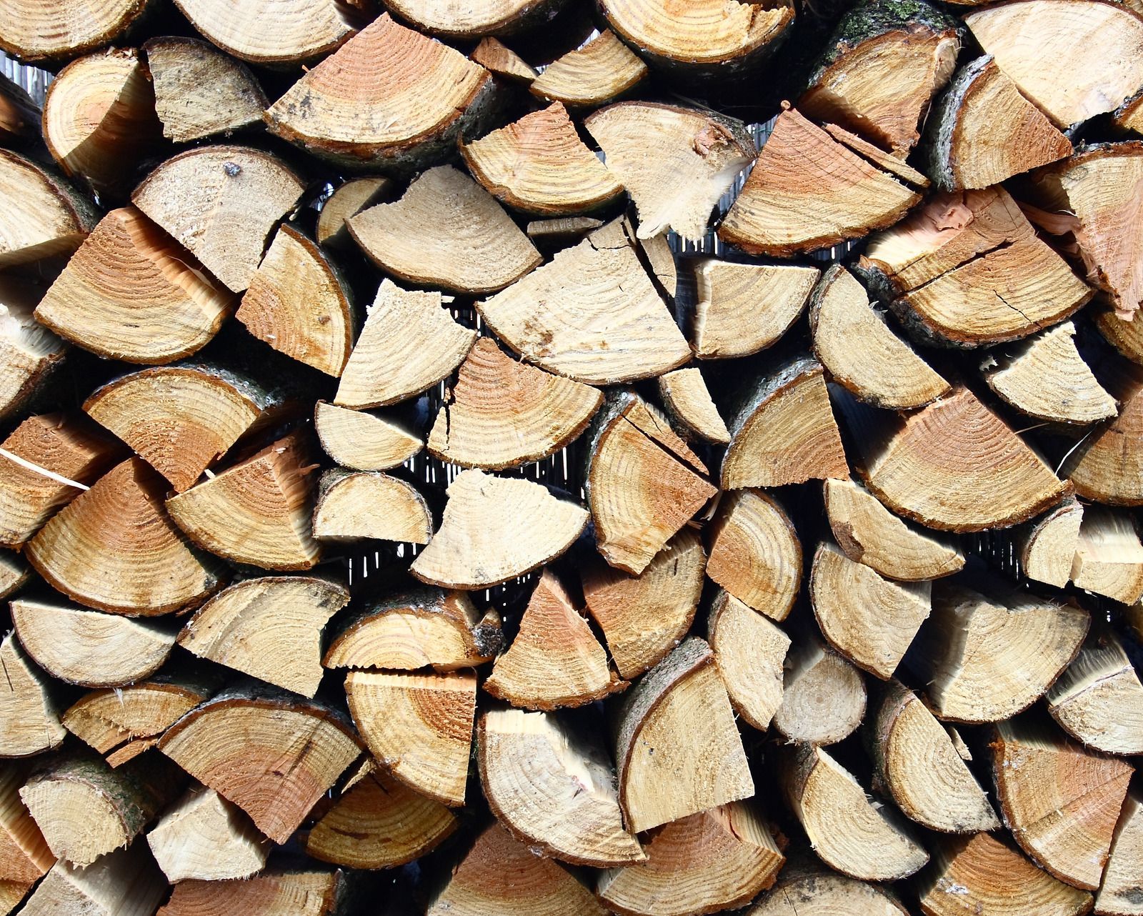 Stacked pile of firewood, showing cross sections of cut logs.