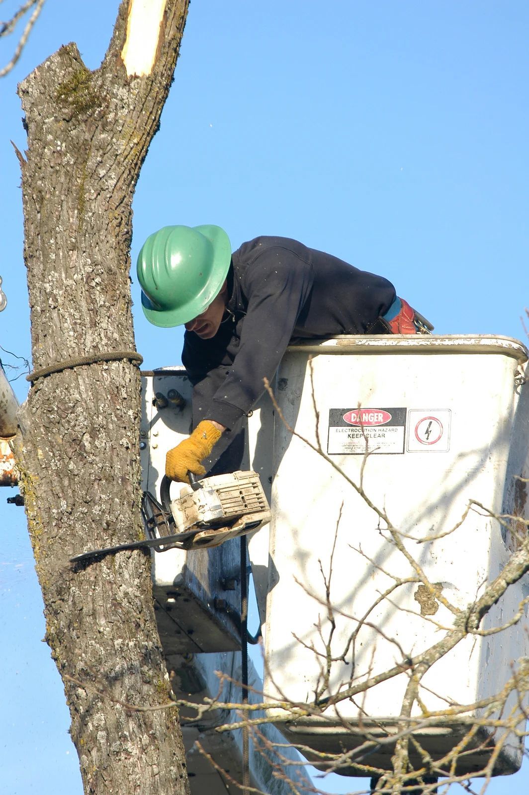 A worker in a bucket truck cuts a tree branch with a chainsaw against a blue sky.