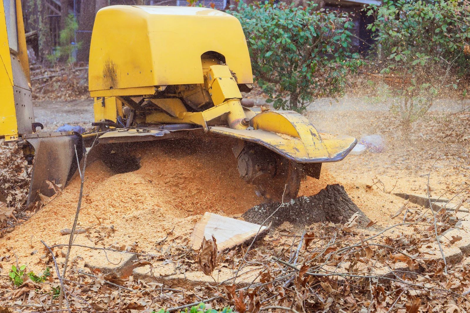 Yellow stump grinder grinding wood into mulch outdoors.