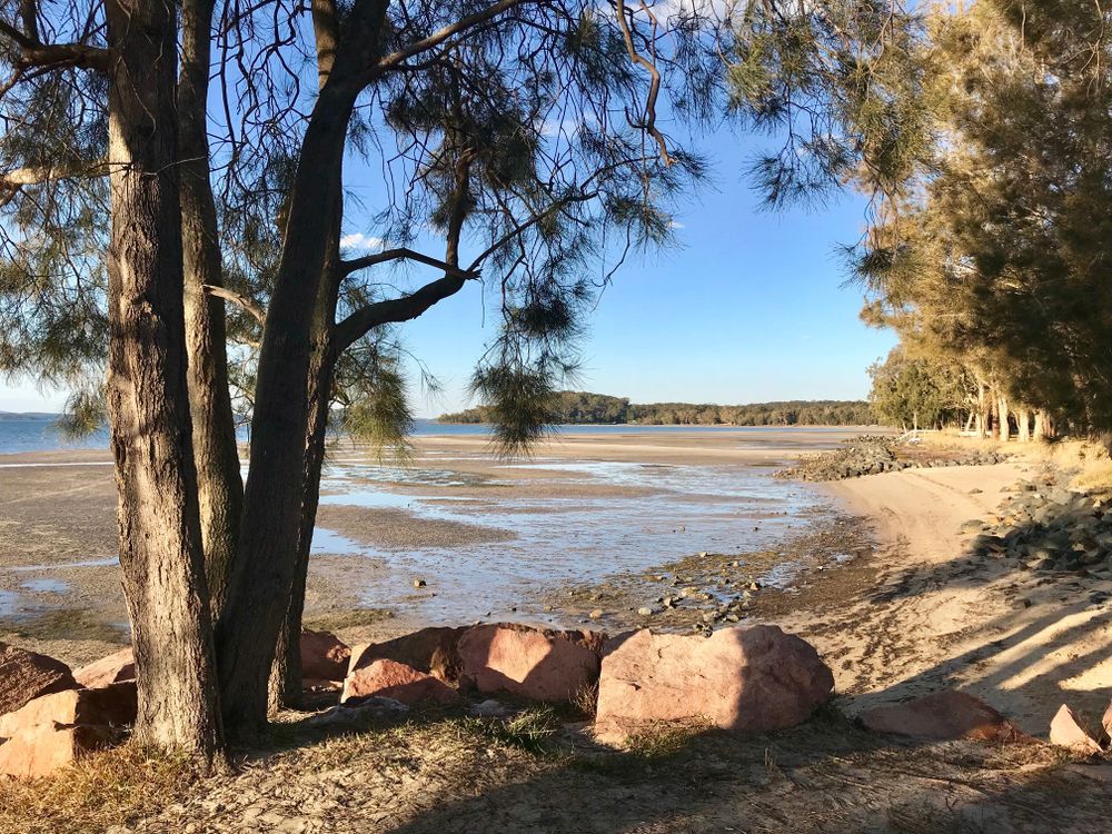 Sandy Shore With Trees, Rocks, and Water Under a Blue Sky — Hunter Plumbing And Hotwater in Tanilba Bay, NSW