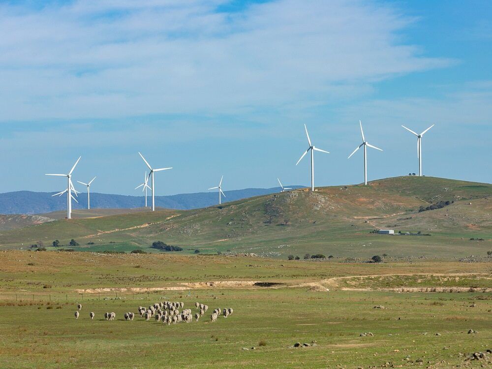 Windmills on the horizon — Licensed Roofer in Bungendore