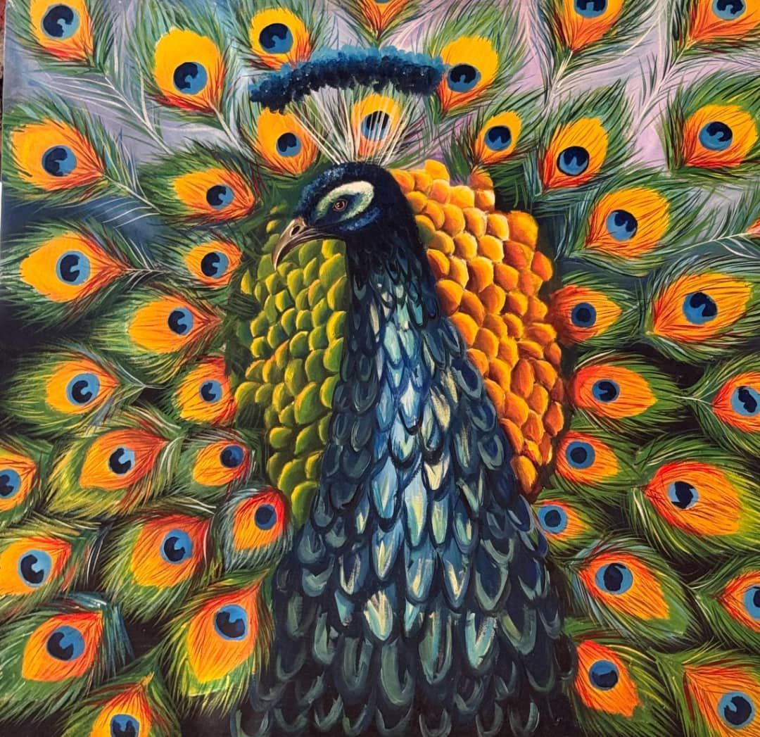Peacock
