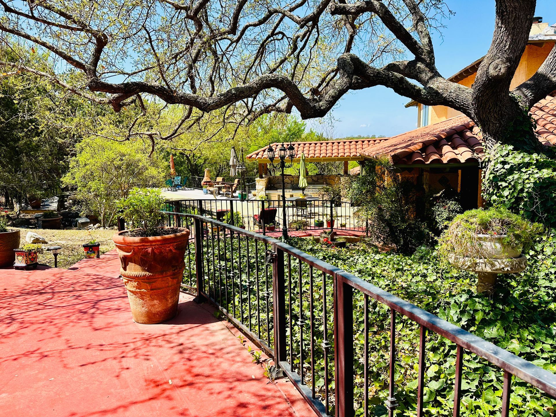 A wrought iron fence surrounds a red carpeted walkway leading to a house.