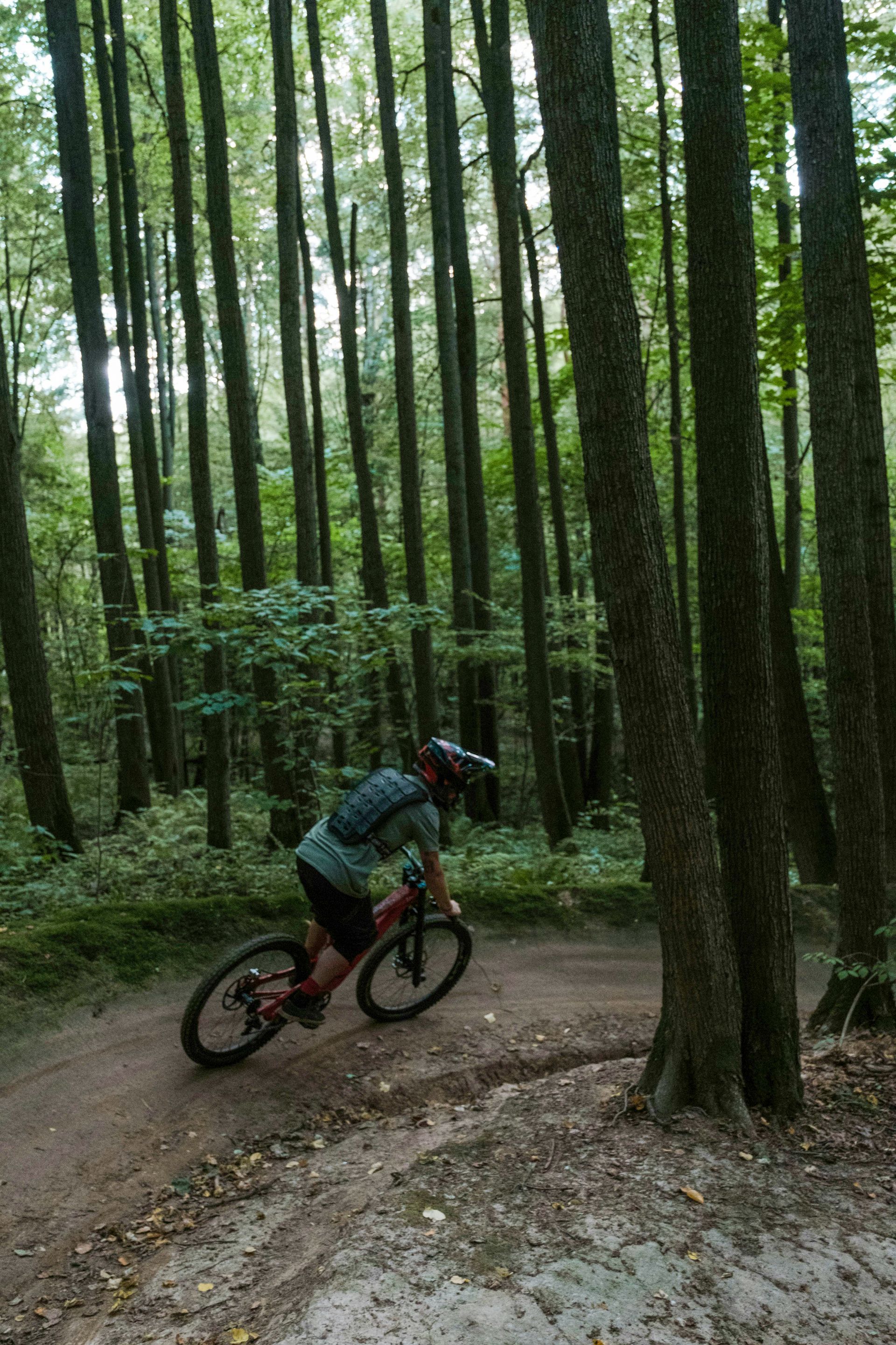mountain biker in the woods