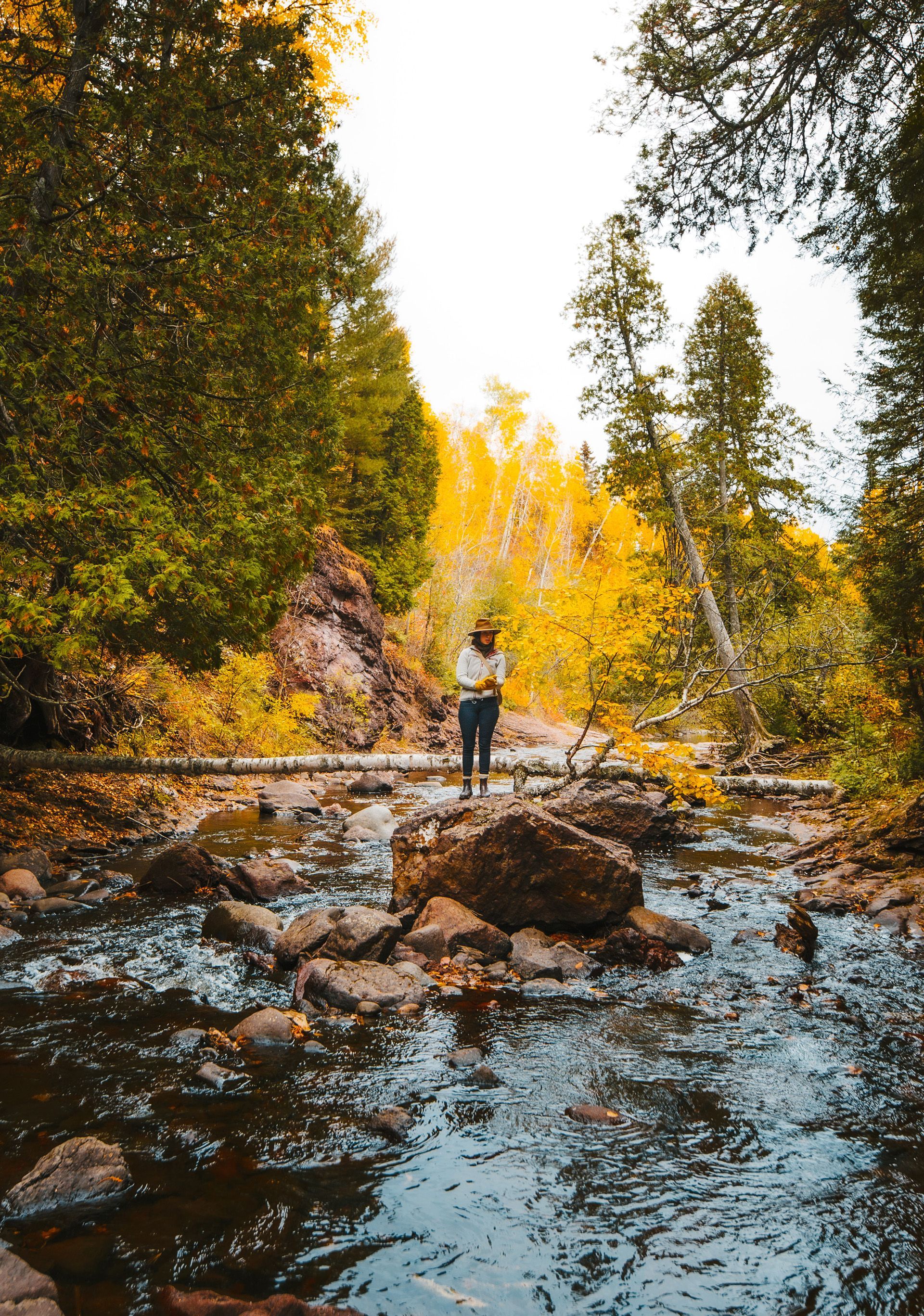person standing in a stream in the fall