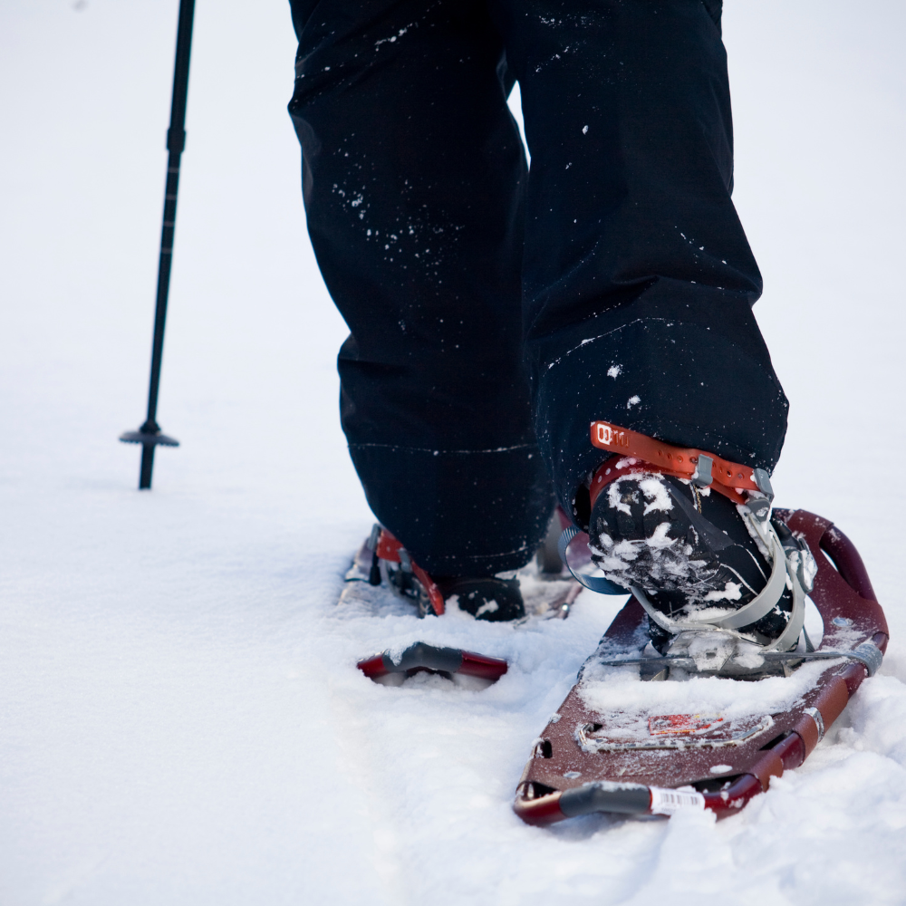 snowshoes walking through snow