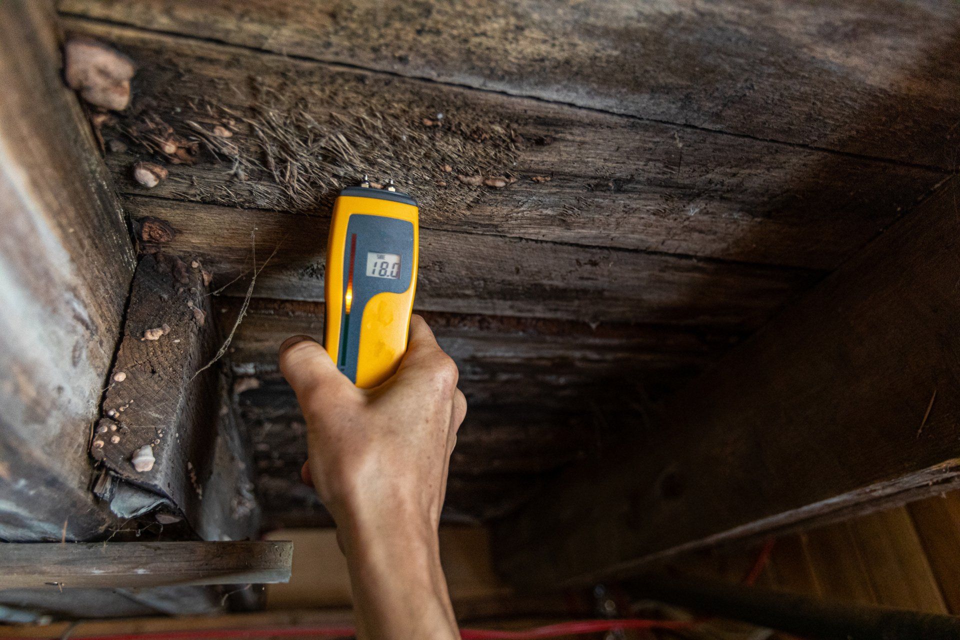 Home Inspector Moisture Meter - Residence Doctor Home Inspection LLC