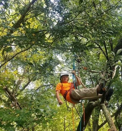 Tree Work is the Dream Work