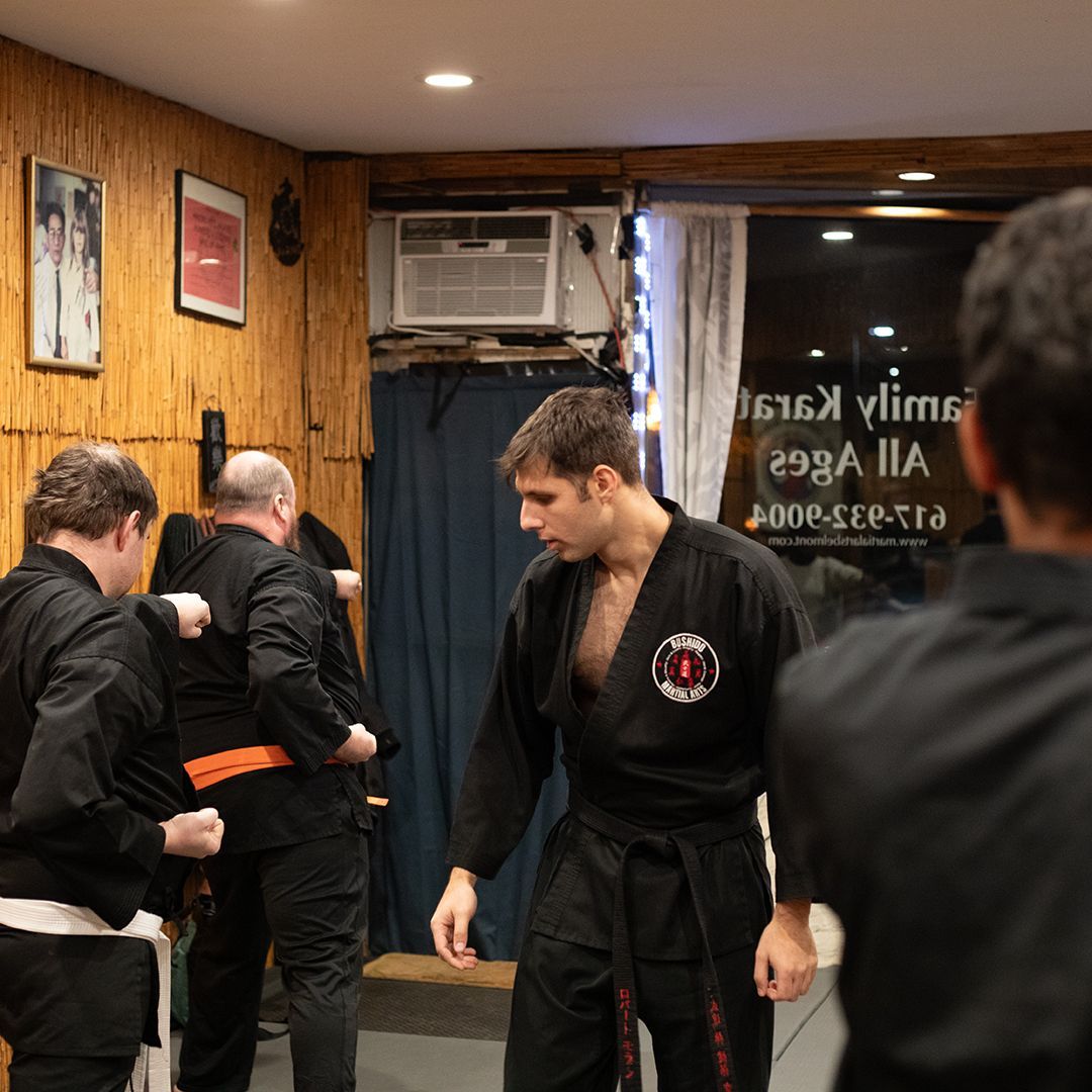 adult martial arts
