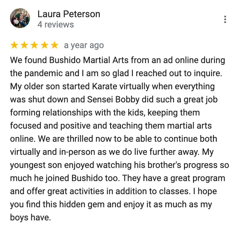 A review of bushido martial arts by laura peterson