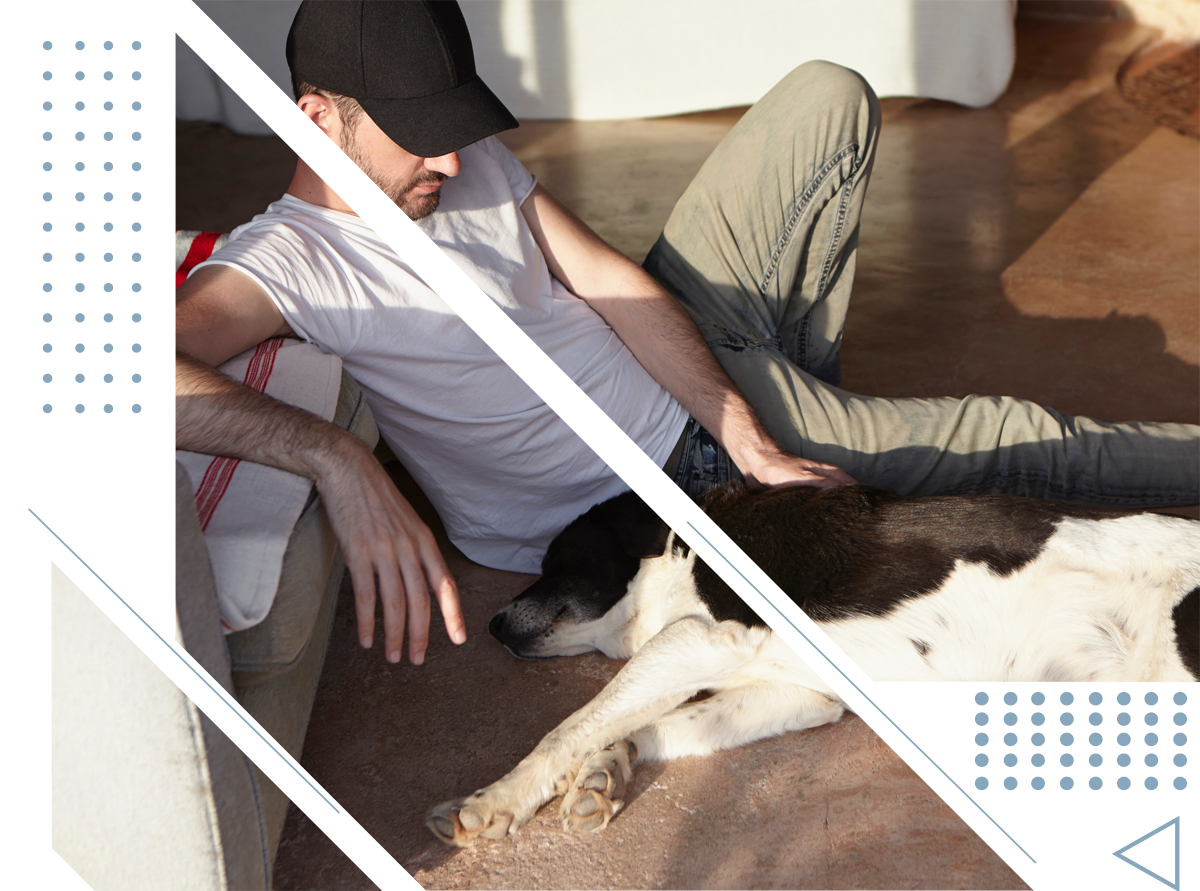 A man laying on a couch with a dog on the floor