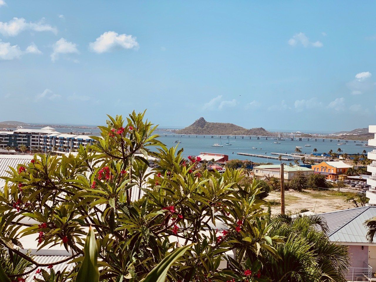 A view of the ocean from a balcony with flowers in the foreground.